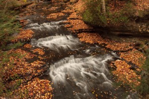 20121009-IMG_7200