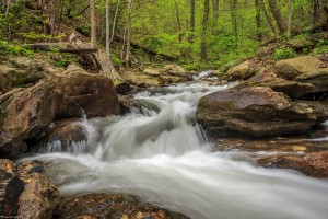 20150418-IMG_4407
