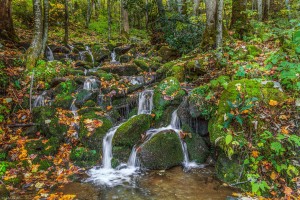 Unnamed Cascade in the Tremont area, GSMNP
